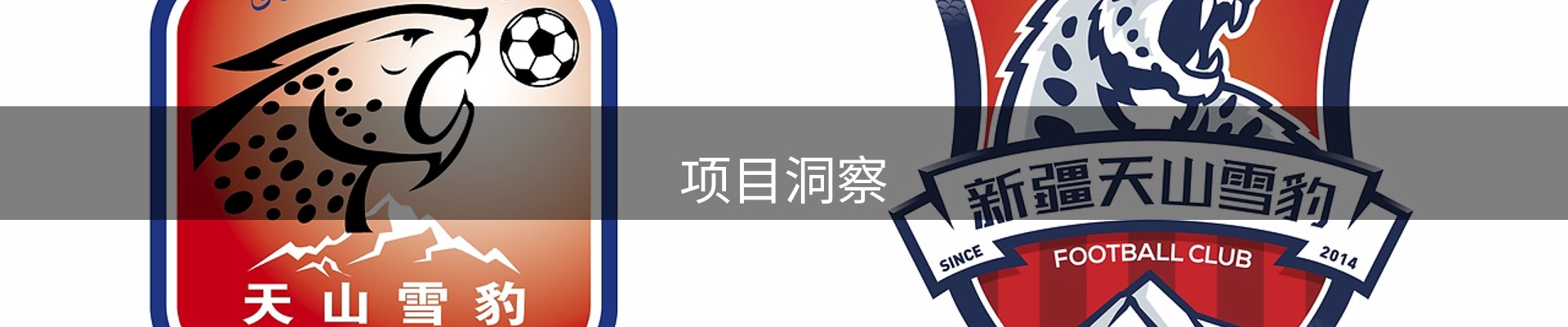 项目洞察